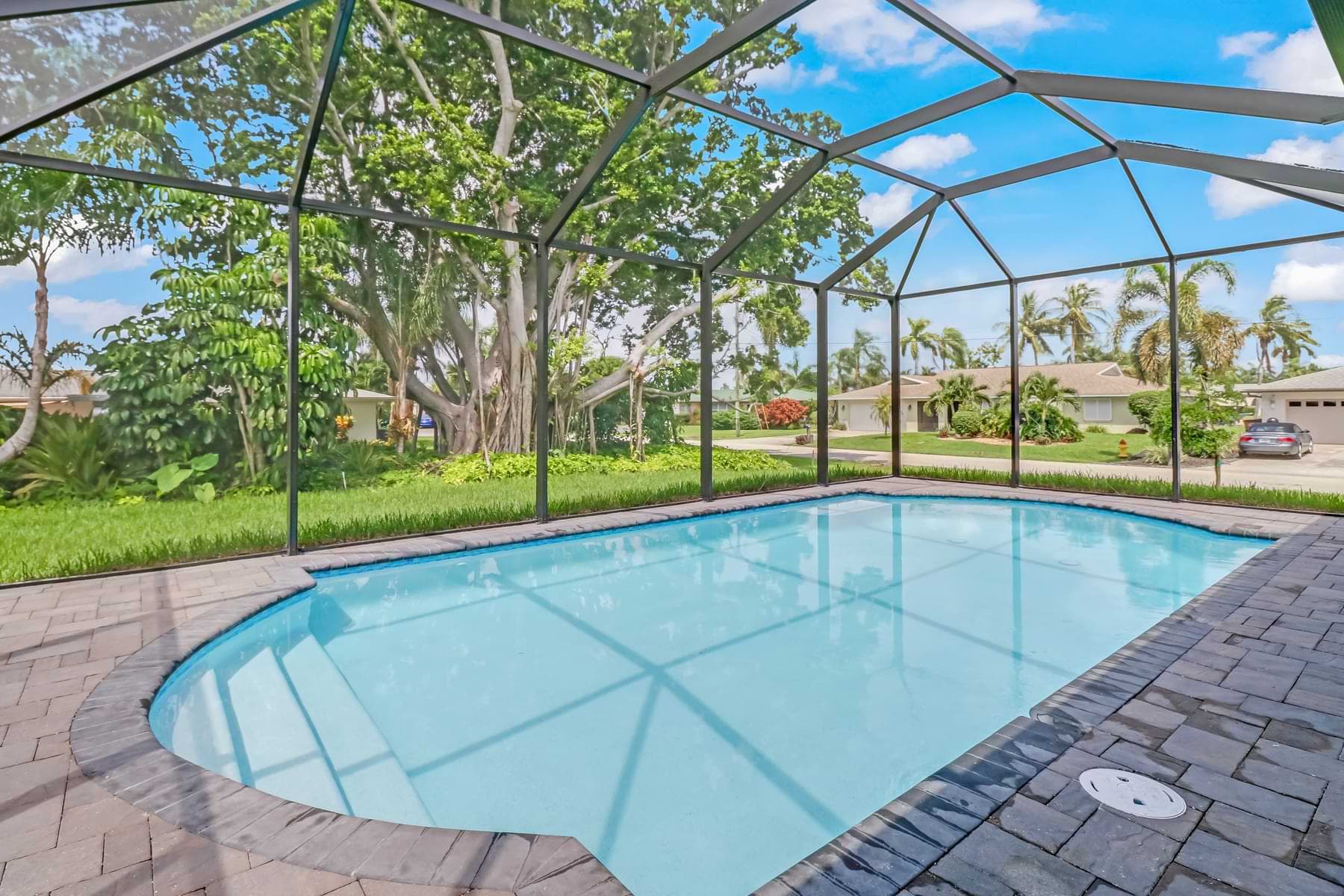 Screened Haven pool with a rounded end and paver deck overlooking mature trees