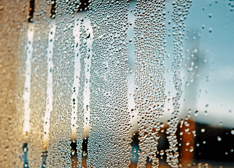 How Florida Builders Protect Your Home from Moisture and Humidity